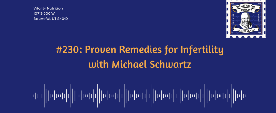 #230: Proven Remedies for Infertility with Michael Schwartz