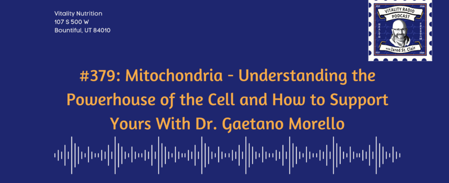 379: Mitochondria – Understanding the Powerhouse of the Cell and How to Support Yours With Dr. Gaetano Morello